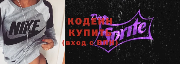 индика Вязники