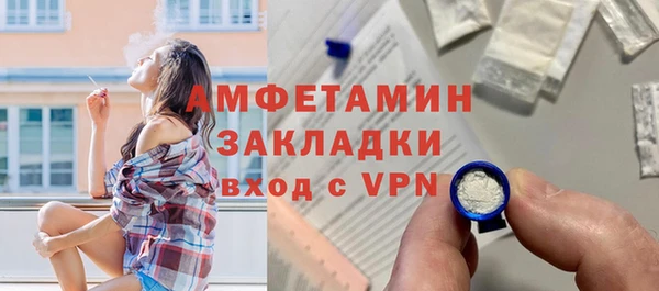 индика Вязники