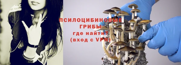 индика Вязники