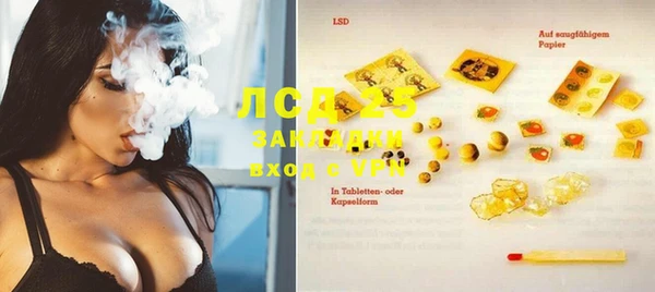 индика Вязники
