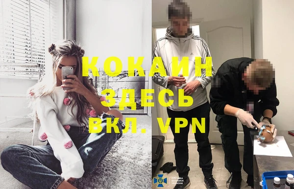 индика Вязники