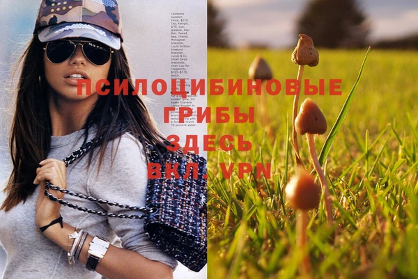 каннабис Вяземский