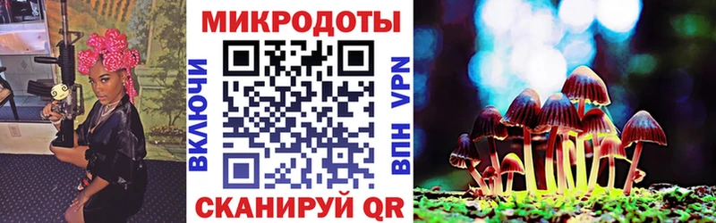 площадка состав  Петрозаводск  Псилоцибиновые грибы ЛСД 