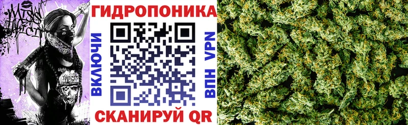 Шишки марихуана THC 21%  блэк спрут ONION  Петрозаводск  наркошоп 